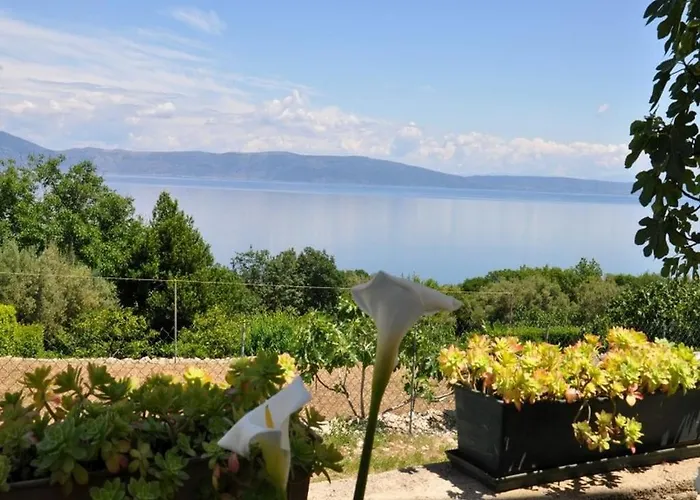 公寓 Nice, Big Terrace With A View, 23 拉维尼